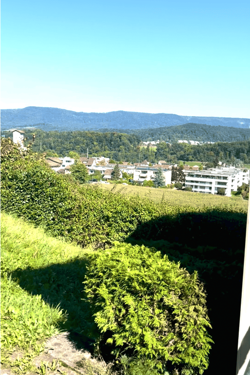 879m2 beste Aussicht mit 7.5 Zi.-EFH: 4.5 Zi.-Haupt-Whg./flexibel abtrennbarer 3 Zi.-Einlieger-Whg. (26)