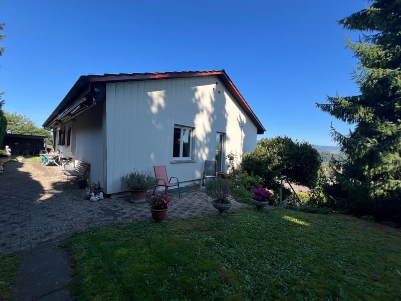 879m2 beste Aussicht mit 7.5 Zi.-EFH: 4.5 Zi.-Haupt-Whg./flexibel abtrennbarer 3 Zi.-Einlieger-Whg. (11)