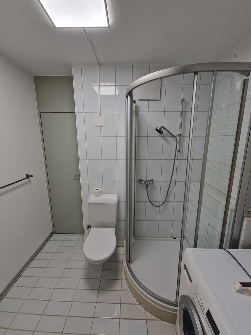 möbliertes Zimmer (Monteurzimmer) (Businesszimmer) Achtung das ist keine Wohnung! (9)