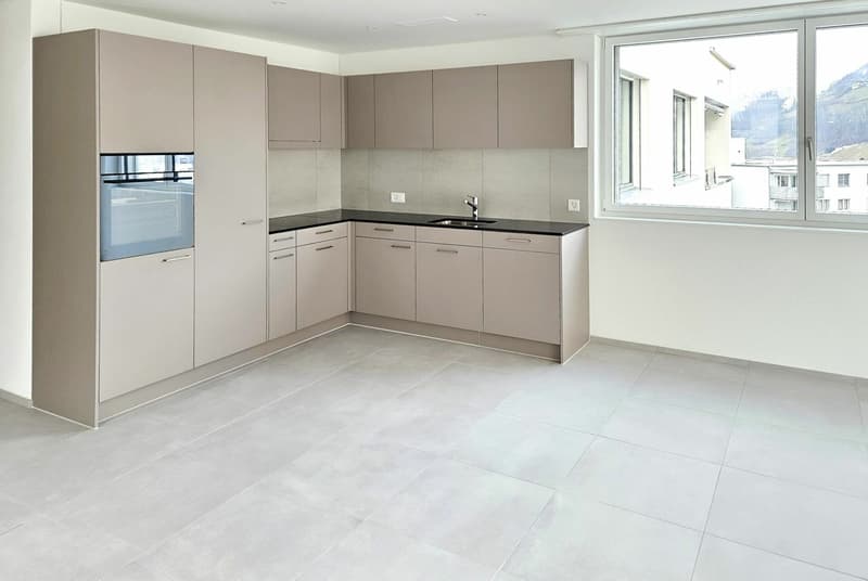 Erstvermietung: 2.5-Zimmer-Attikawohnung mit See- und Bergblick (7)