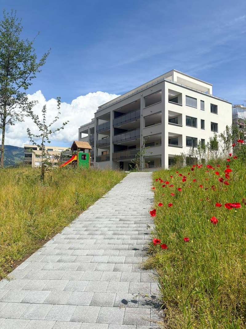 Wohnüberbauung Feld - Seewen