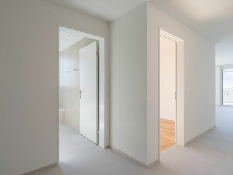 Erstvermietung: 2.5-Zimmer-Attikawohnung mit Bergblick (7)