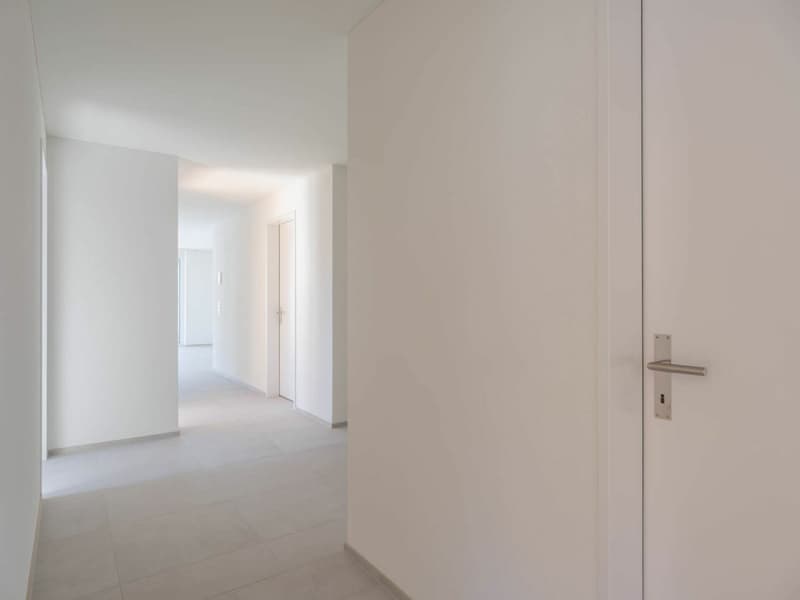 Attraktive Erstvermietung - 5.5-Zimmerwohnung mit Loggia (12)