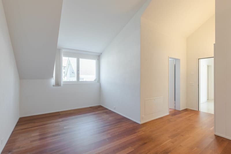 Grosszügige 4.5-Zimmer-Attika-Wohnung mit zwei Tiefgaragenplätzen, zwei Kellern (11)