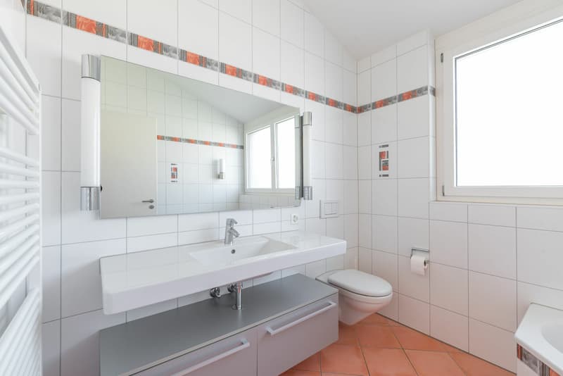 Grosszügige 4.5-Zimmer-Attika-Wohnung mit zwei Tiefgaragenplätzen, zwei Kellern (18)