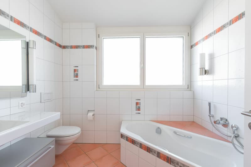 Grosszügige 4.5-Zimmer-Attika-Wohnung mit zwei Tiefgaragenplätzen, zwei Kellern (14)