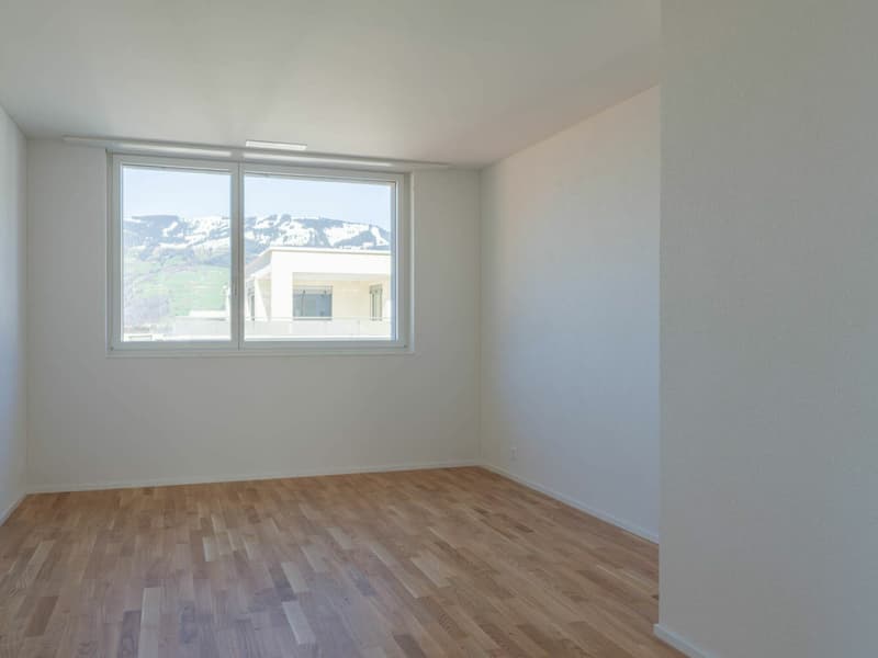 Erstvermietung: moderne 4.5-Zimmerwohnung (10)