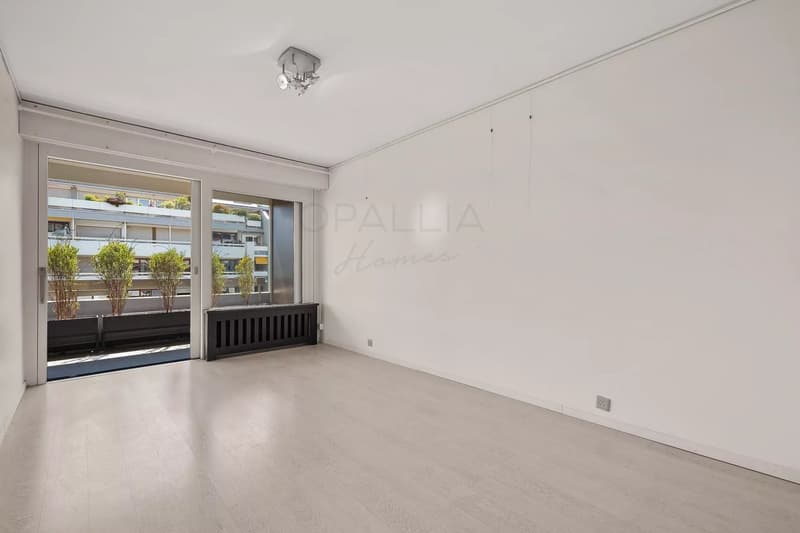 Beautiful apartement with view over the Jet d'Eau - Champel (9)