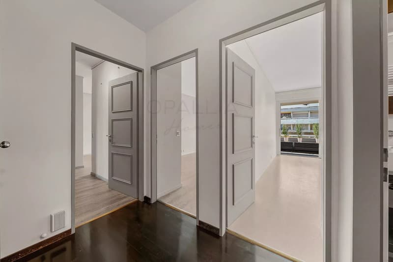 Beautiful apartement with view over the Jet d'Eau - Champel (6)