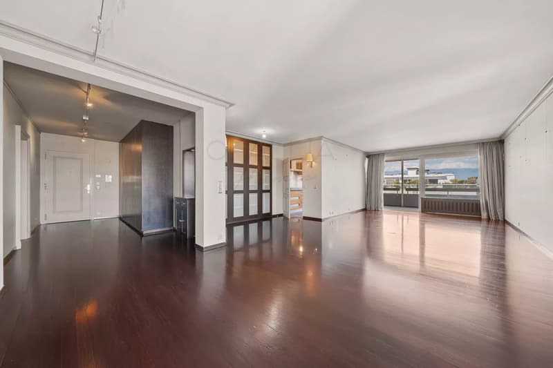 Beautiful apartement with view over the Jet d'Eau - Champel (2)