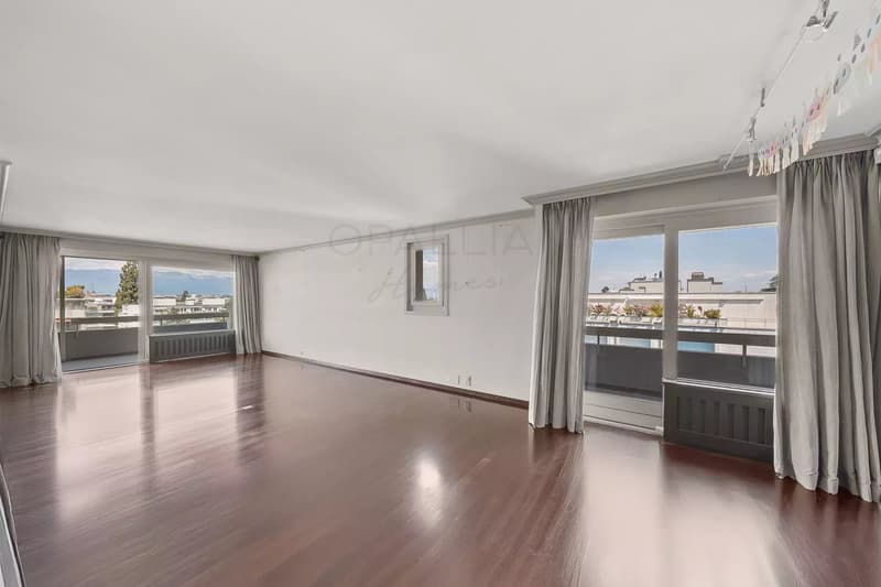 Beautiful apartement with view over the Jet d'Eau - Champel (3)