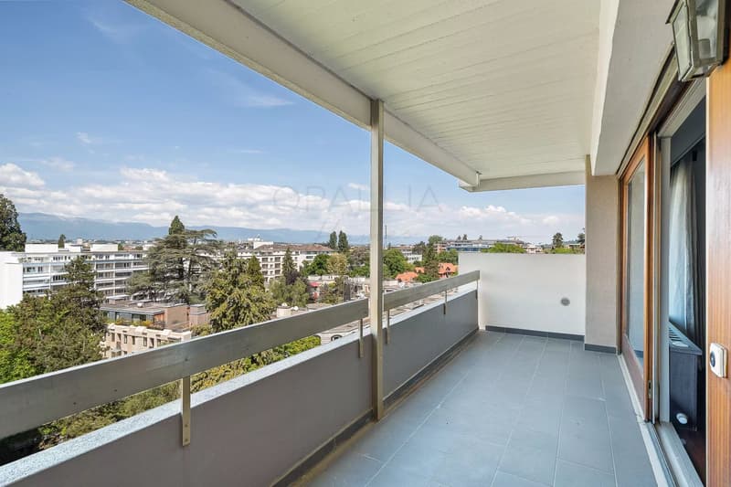 Beautiful apartement with view over the Jet d'Eau - Champel (5)