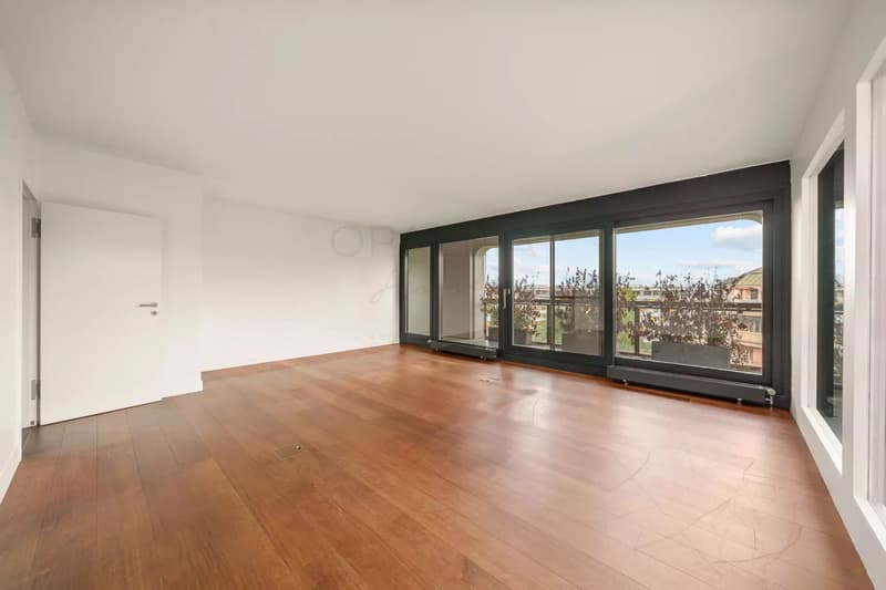 Unique apartment with rooftop (3)