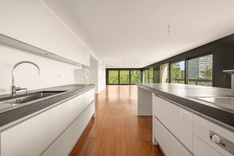 Unique apartment with rooftop (6)