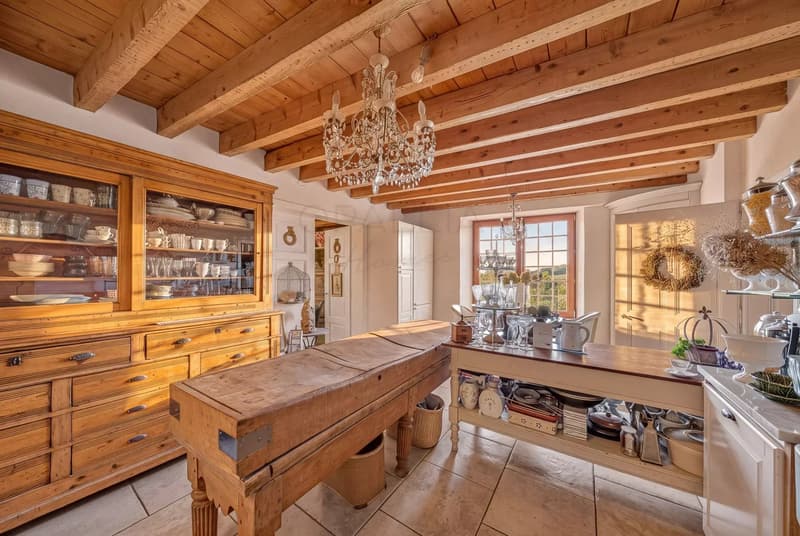 Renovated village house with mountain & lake views, Givrins (4)