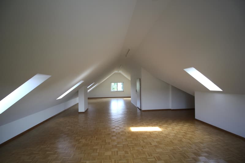 Grosser Atelierraum im Dachgeschoss mit Toilette (3)