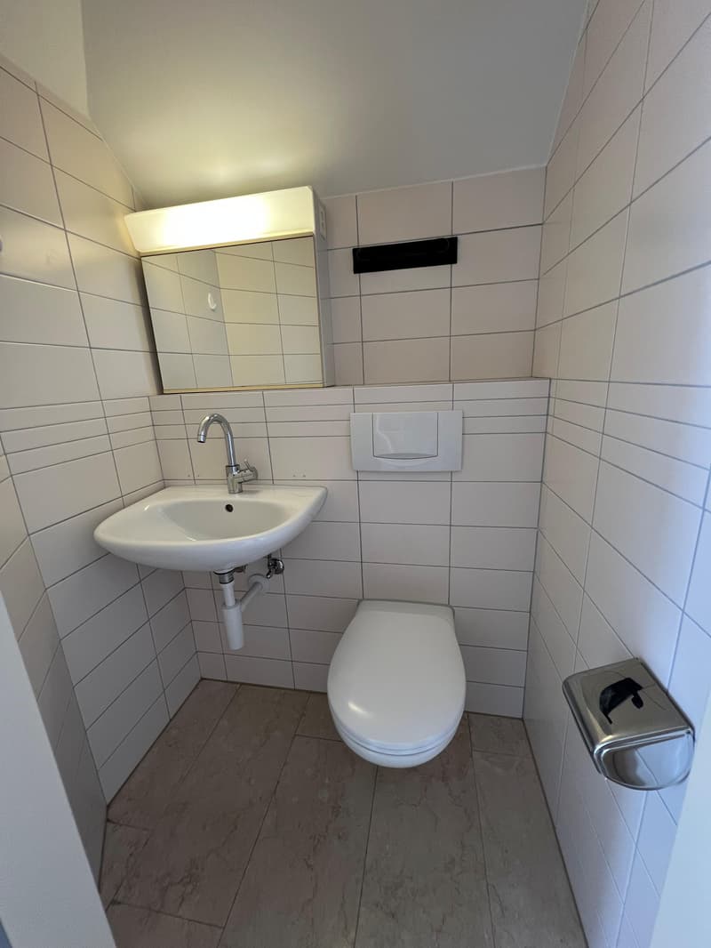 Grosser Atelierraum im Dachgeschoss mit Toilette (5)