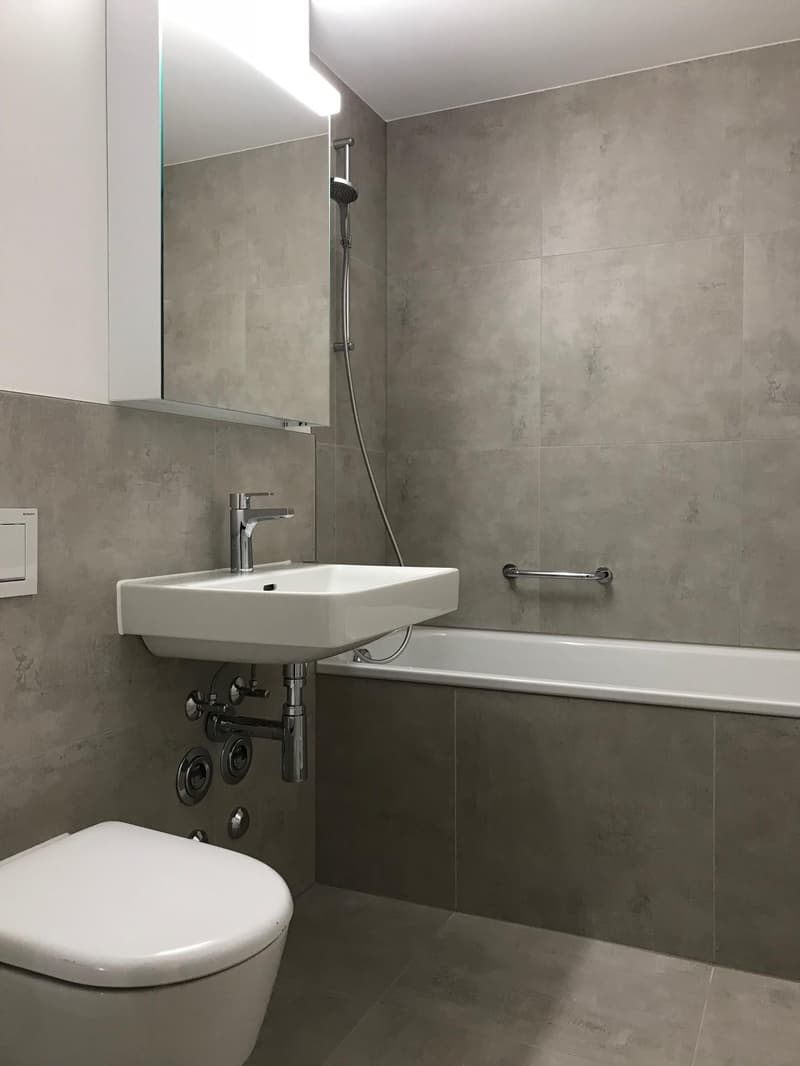 3-Zimmerwohnung in Allschwil (5)