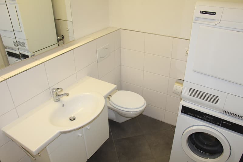 Wohnung an ruhiger sonniger Lage (8)