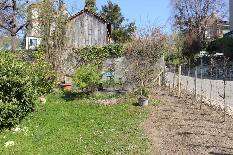 Wohnung sucht Gartenliebhaber (8)