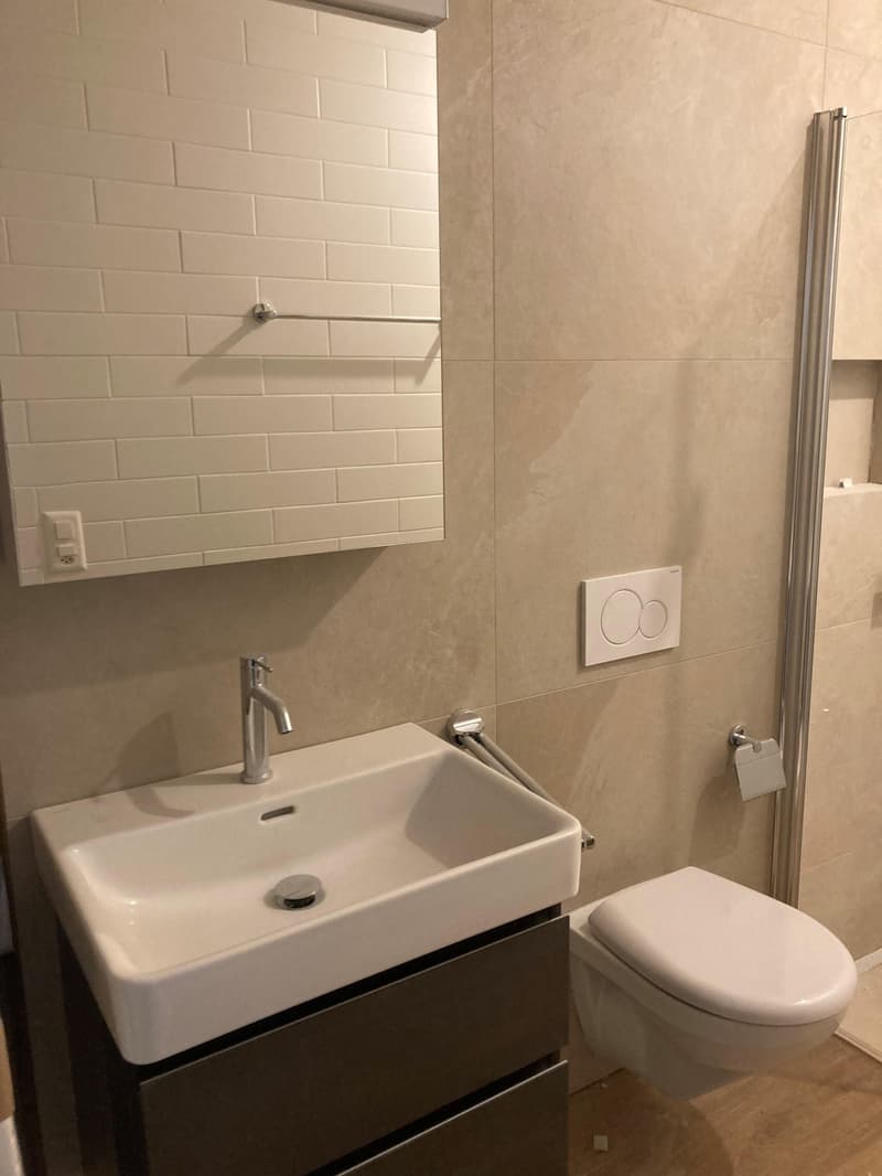 1.0 Zimmerwohnung in Basel (4)