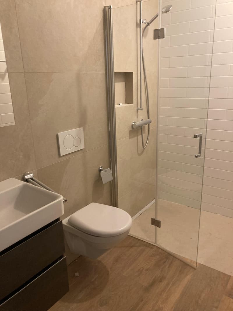 1.0 Zimmerwohnung in Basel (3)