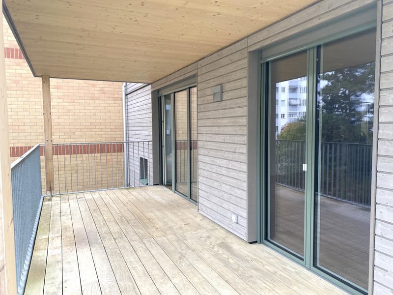 Moderne Wohnung mit grossem Balkon (4)