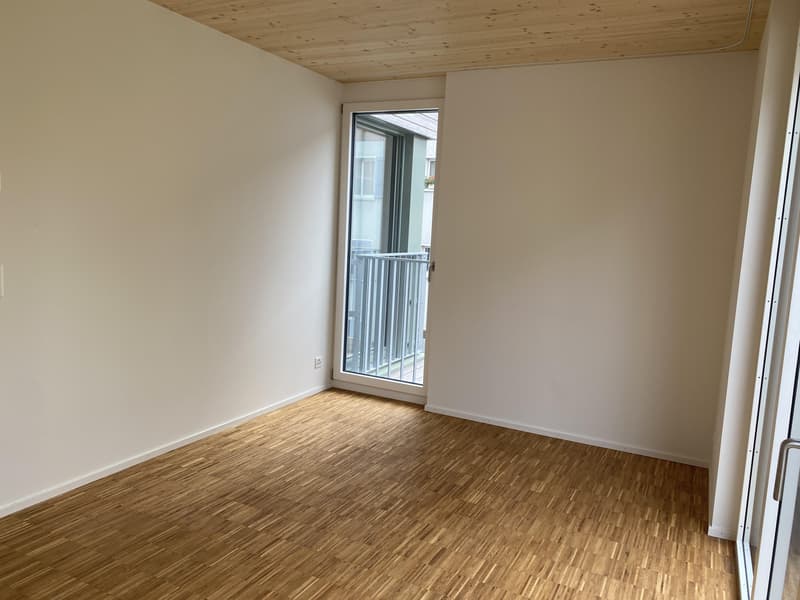 Moderne Wohnung mit grossem Balkon (6)