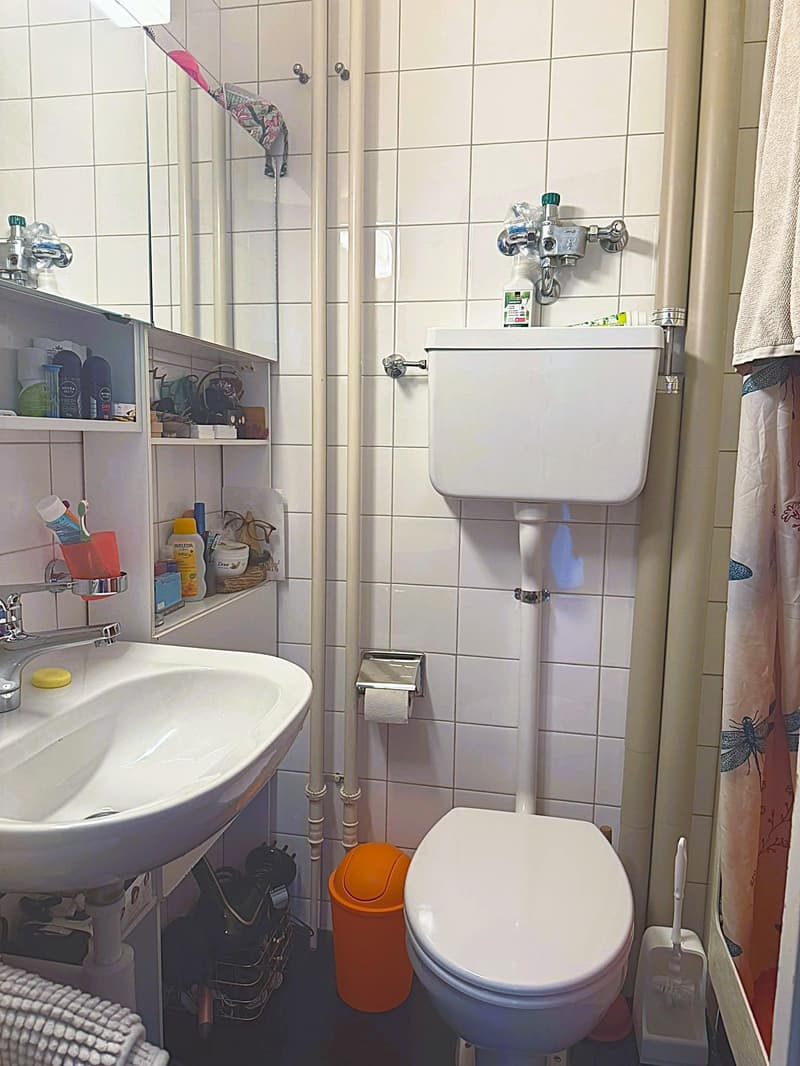 Helle 3-Zimmer-Wohnung Nähe Bahnhof SBB (7)