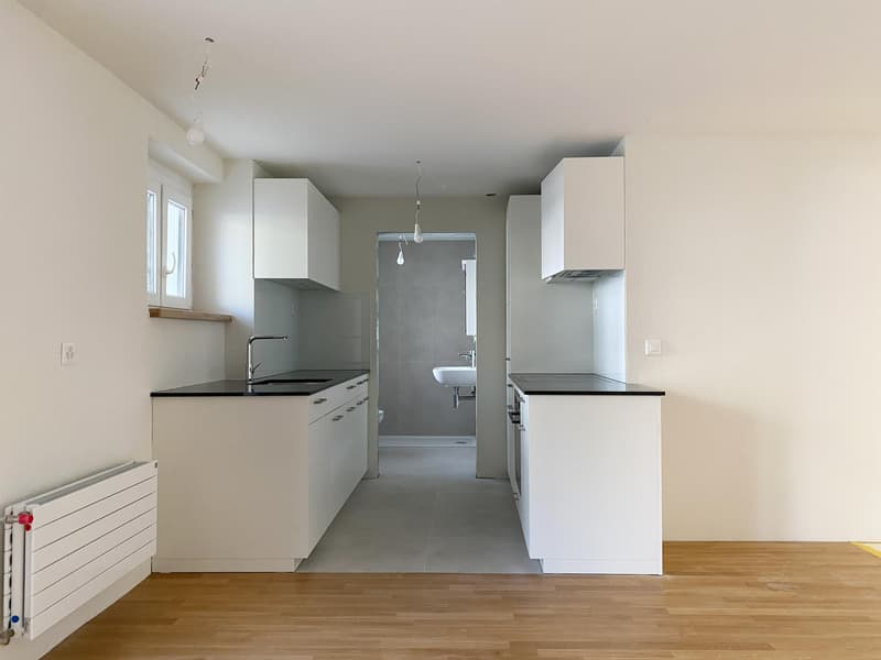 Erstbezug nach Totalsanierung Moderne 1-Zimmerwohnung (2)