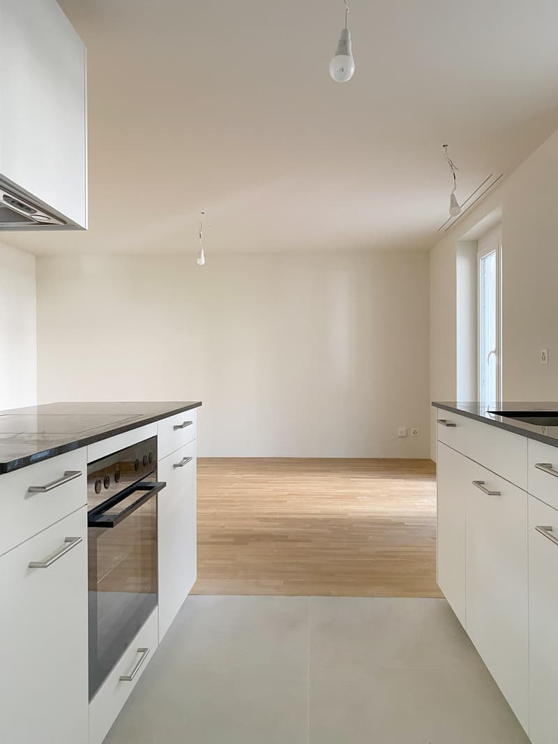 Erstbezug nach Totalsanierung Moderne 1-Zimmerwohnung (3)