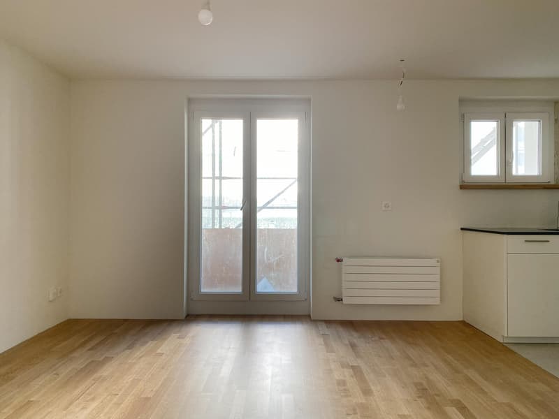 Erstbezug nach Totalsanierung Moderne 1-Zimmerwohnung (4)
