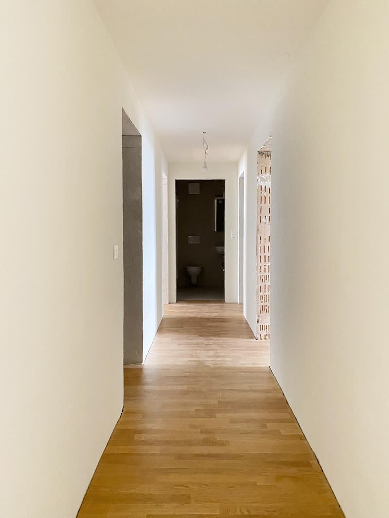 Erstbezug nach Totalsanierung Moderne 4.5-Zimmerwohnung (5)