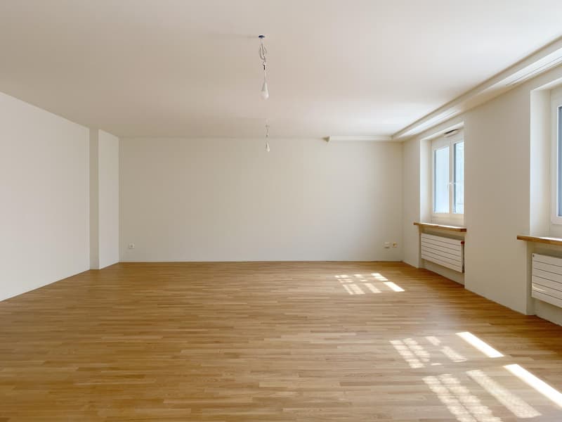 Erstbezug nach Totalsanierung Moderne 4.5-Zimmerwohnung (4)