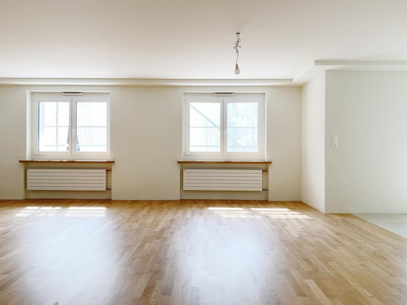 Erstbezug nach Totalsanierung Moderne 4.5-Zimmerwohnung (3)