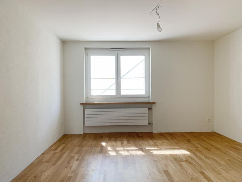 Erstbezug nach Totalsanierung Moderne 4.5-Zimmerwohnung (8)