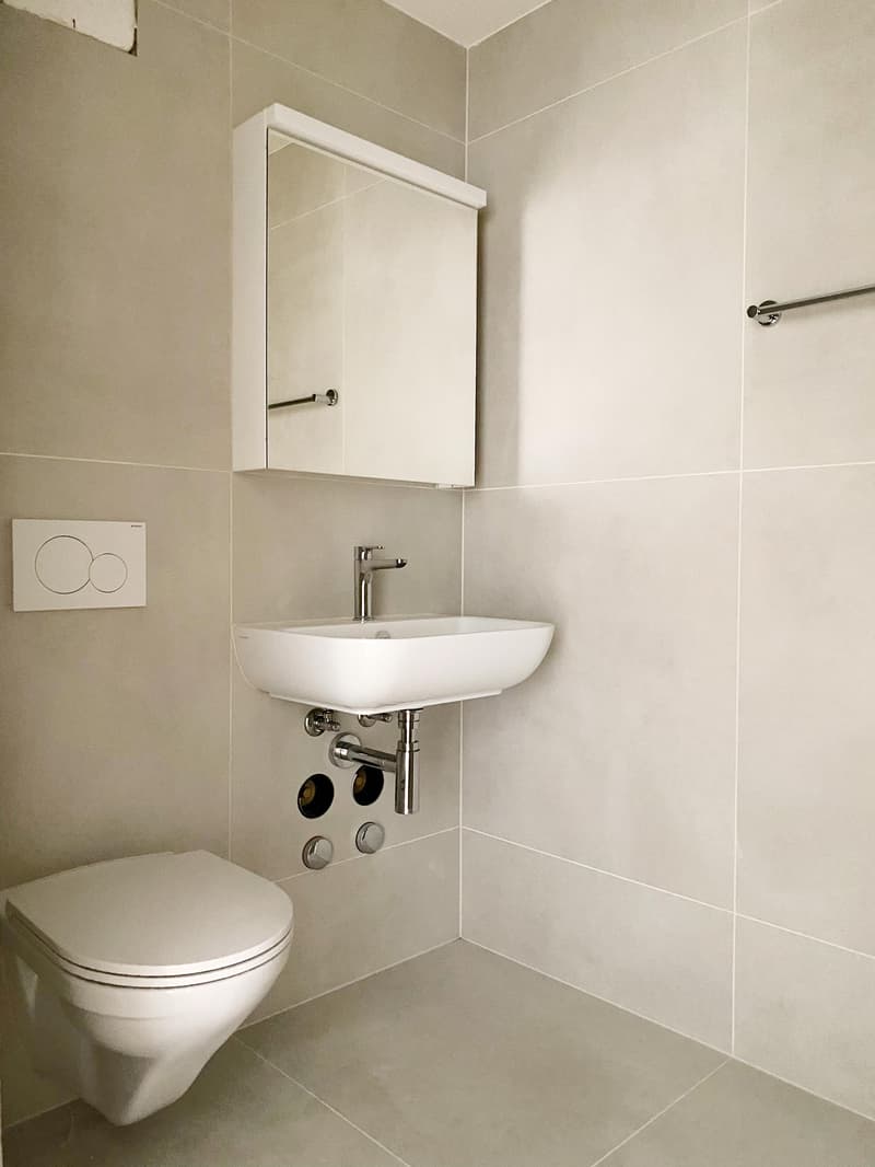 Erstbezug nach Totalsanierung Moderne 4.5-Zimmerwohnung (9)