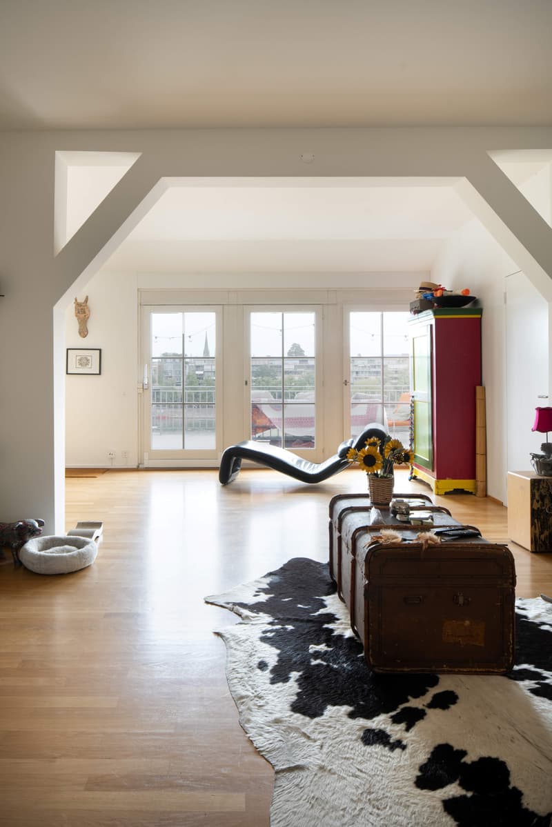 Exklusive Wohnung mit grosser Dachterrasse direkt am Rhein (4)