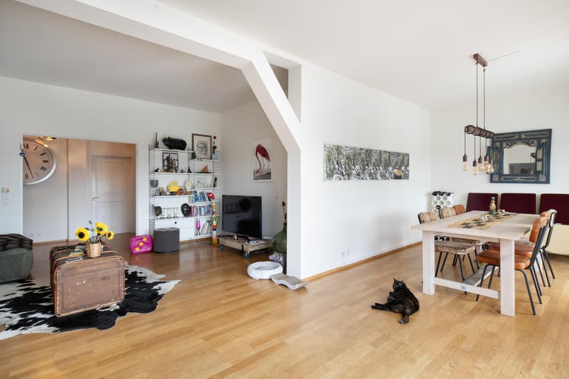 Exklusive Wohnung mit grosser Dachterrasse direkt am Rhein (2)