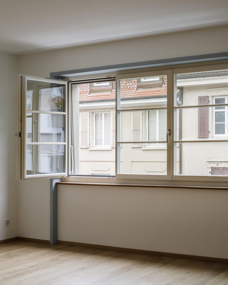 hochwertig sanierte Wohnung am Rhein (6)