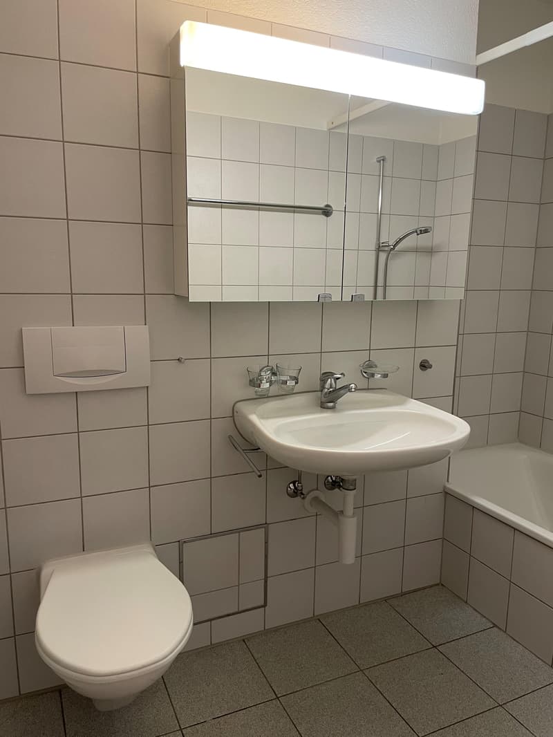 Grosse Familienwohnung mit Garten (11)