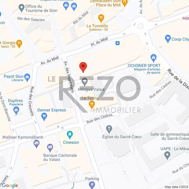 A vendre local commercial en plein coeur de Sion (13)