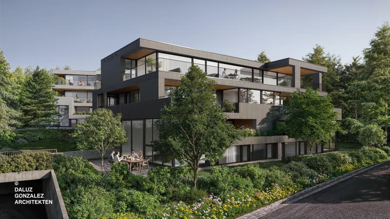 Projektankündigung SOLUNA - Exklusive Eigentumswohnungen in Zumikon (1)
