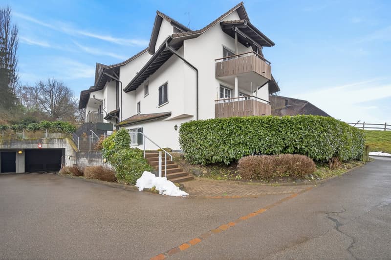 Stilvolle Attika-Wohnung in Gossau ZH (14)