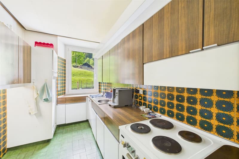 Multi-family house / rental property in an elegant, historic villa (8)