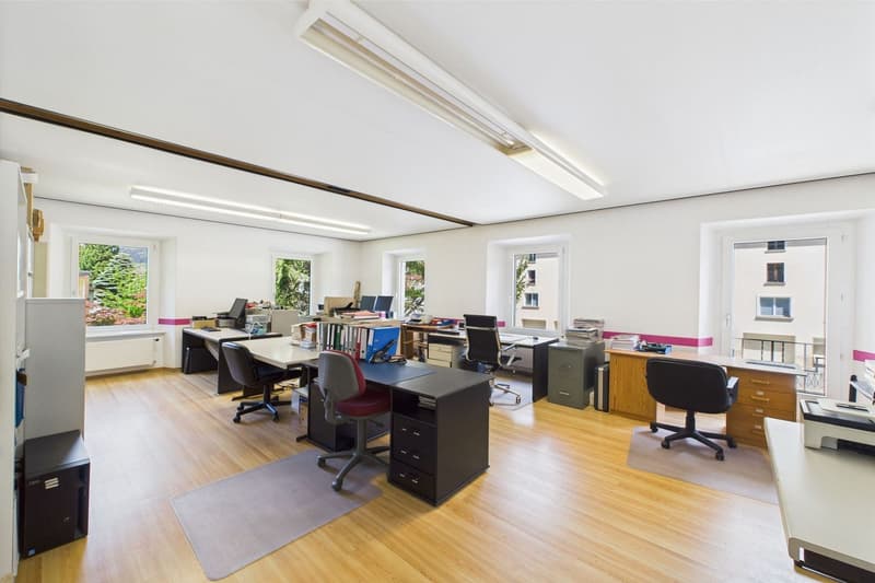 Multi-family house / rental property in an elegant, historic villa (10)