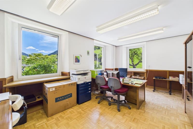 Multi-family house / rental property in an elegant, historic villa (6)