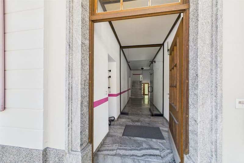 Multi-family house / rental property in an elegant, historic villa (3)