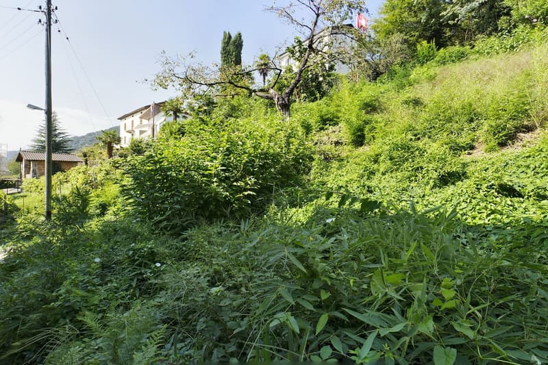 Sessa VN 119001001-1907 (4)