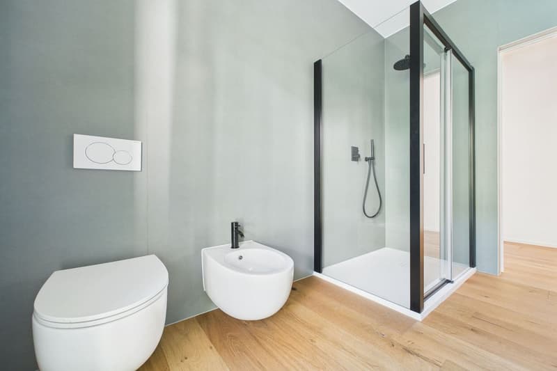 Attractive new apartment in the "Maison du Lac" residence (17)